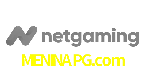 NetGaming